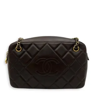 Camera Brown Shoulder Bag in Calfskin, Gold hardware