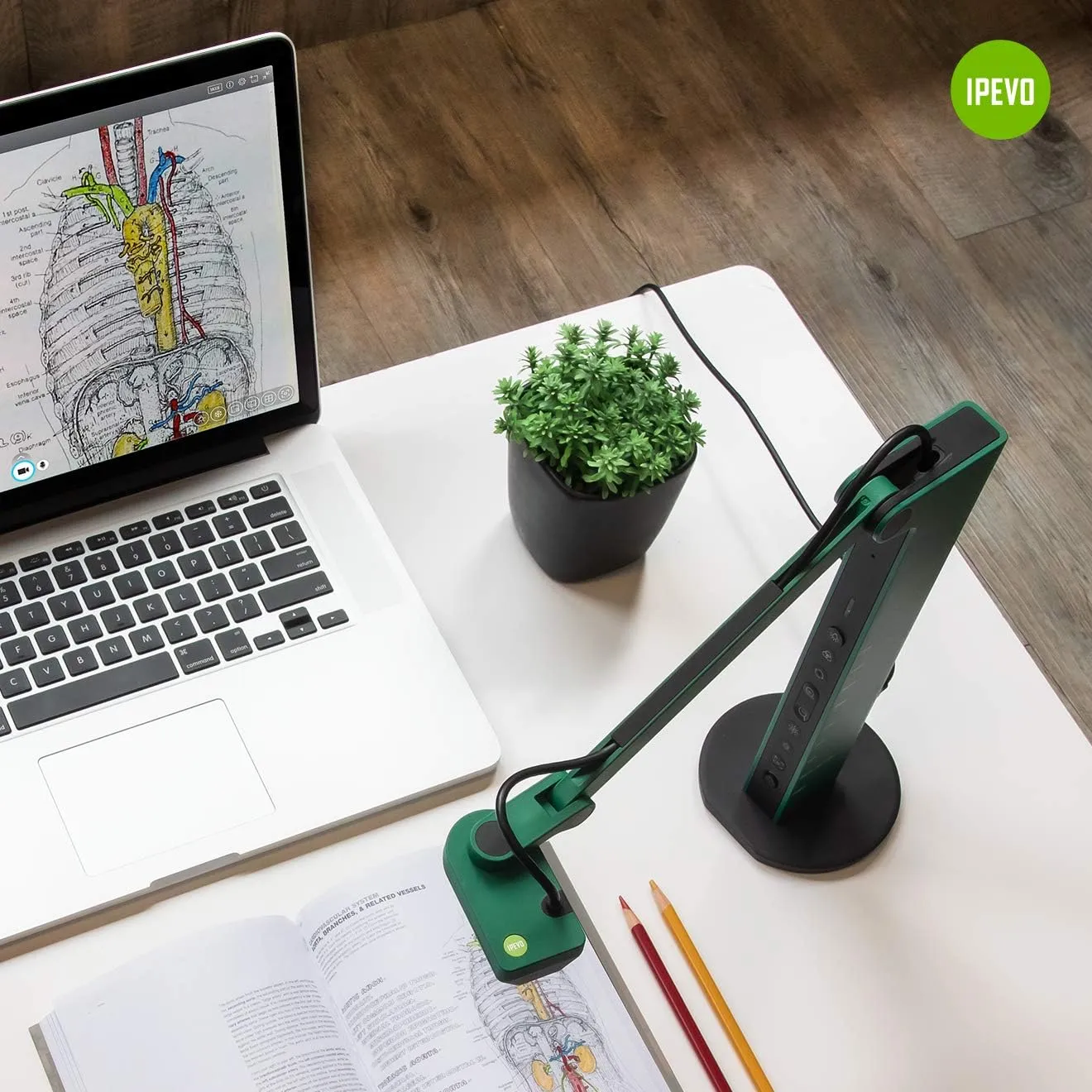 IPEVO VZ-R HDMI/USB Dual Mode 8MP Visual Communication Tool for Real-time Projection, Remote Work, Distance Learning, Web conferencing, Video Recording, Live Demos — Works with and Without a Computer