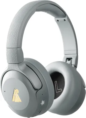 POGS Wireless Over-Ear Noise Cancelling Headphones | The Turtle | Adjustable and Durable Headphones | Volume Limited 85 dB, Microphone | Wireless Music-Sharing Function (rGrey)