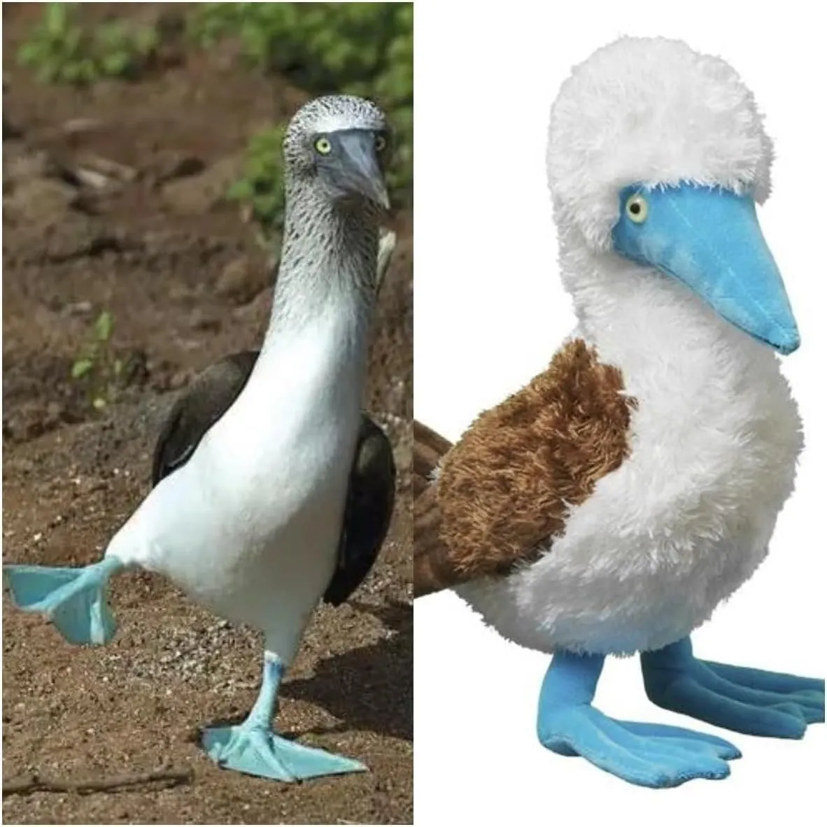 Simulation Blue Footed Boobies Plush Toy, Soft Realistic Cute Plush Stuffed Animal Toy 13.7 inch Funny Birds Home Decoration Children's…