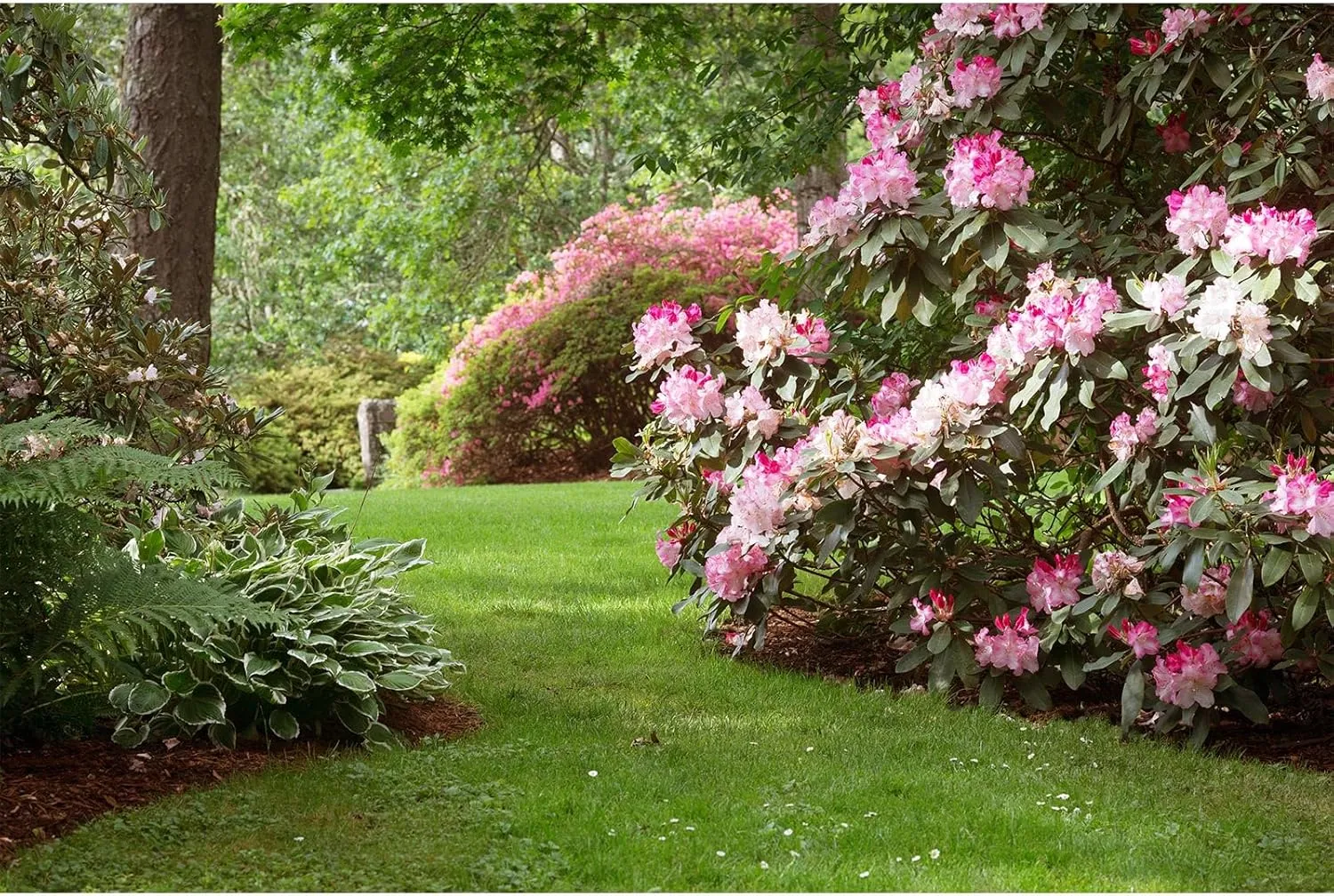 Spring Garden Backdrop Pink Blooming Flowers Green Grassland Photography Background Natural Scenery Garden Theme Backdrop Decors for Outdoor Picnic Tea Party Banner Portrait Photo Shoot Props 7x5ft