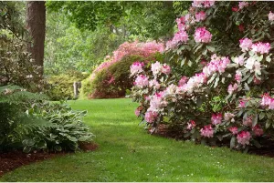 Spring Garden Backdrop Pink Blooming Flowers Green Grassland Photography Background Natural Scenery Garden Theme Backdrop Decors for Outdoor Picnic Tea Party Banner Portrait Photo Shoot Props 7x5ft