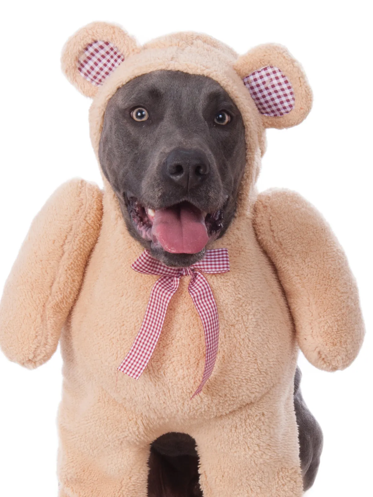 Walking Teddy Bear Big Dogs Pet Costume Unisex