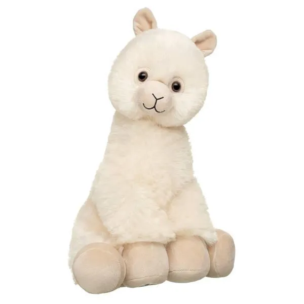 Wooly Cute Alpaca