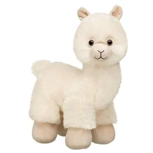 Wooly Cute Alpaca